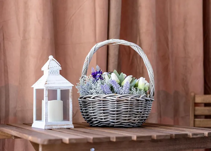 Sunny In The Center Of For 5guests * Varna