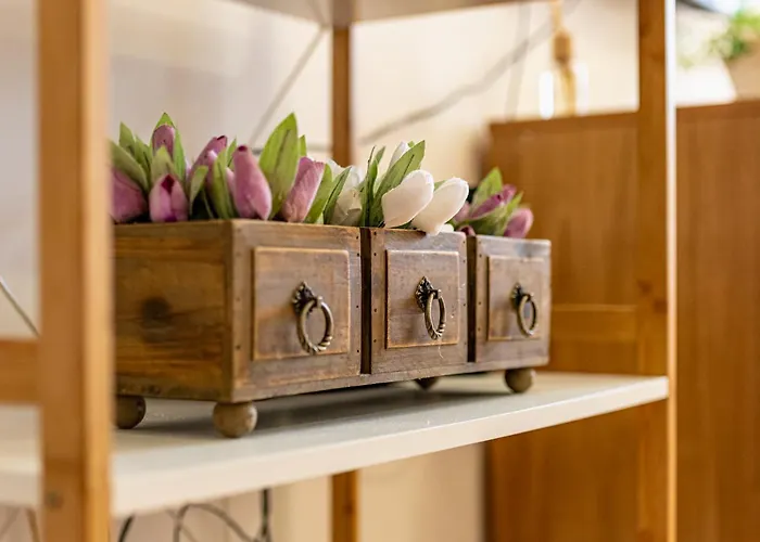 Appartamento Sunny In The Center Of For 5guests Varna