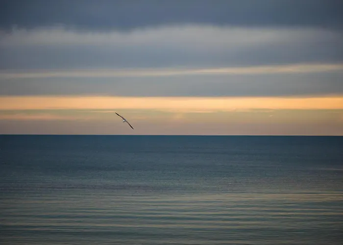 Sunny In The Center Of For 5guests