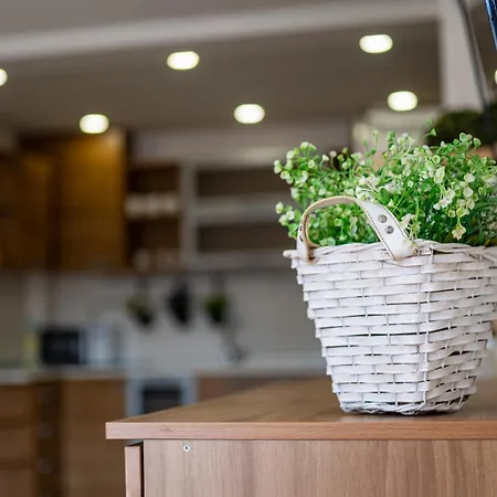 Sunny In The Center Of For 5guests Lejlighed *