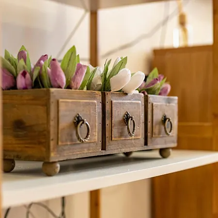 דירה Sunny In The Center Of For 5guests וארנה