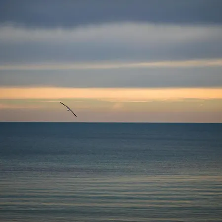 Sunny In The Center Of For 5guests