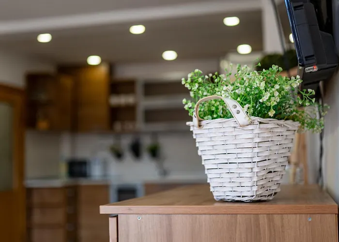 Sunny In The Center Of For 5guests Apartman *