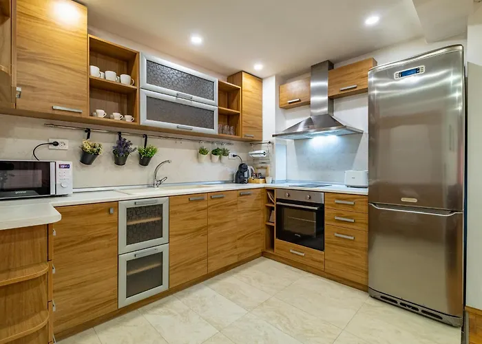 Sunny In The Center Of For 5guests Apartman